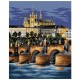 Charles Bridge (Praag) 2504M 40x50 cm