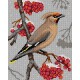 Vogel op tak (Waxwing)  3158H 24x30 cm